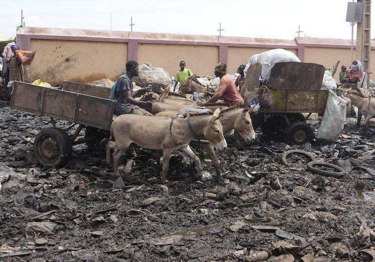 Bamako's Donkey Drawn Garbage Collectors Stepping Up to Fill Void Left