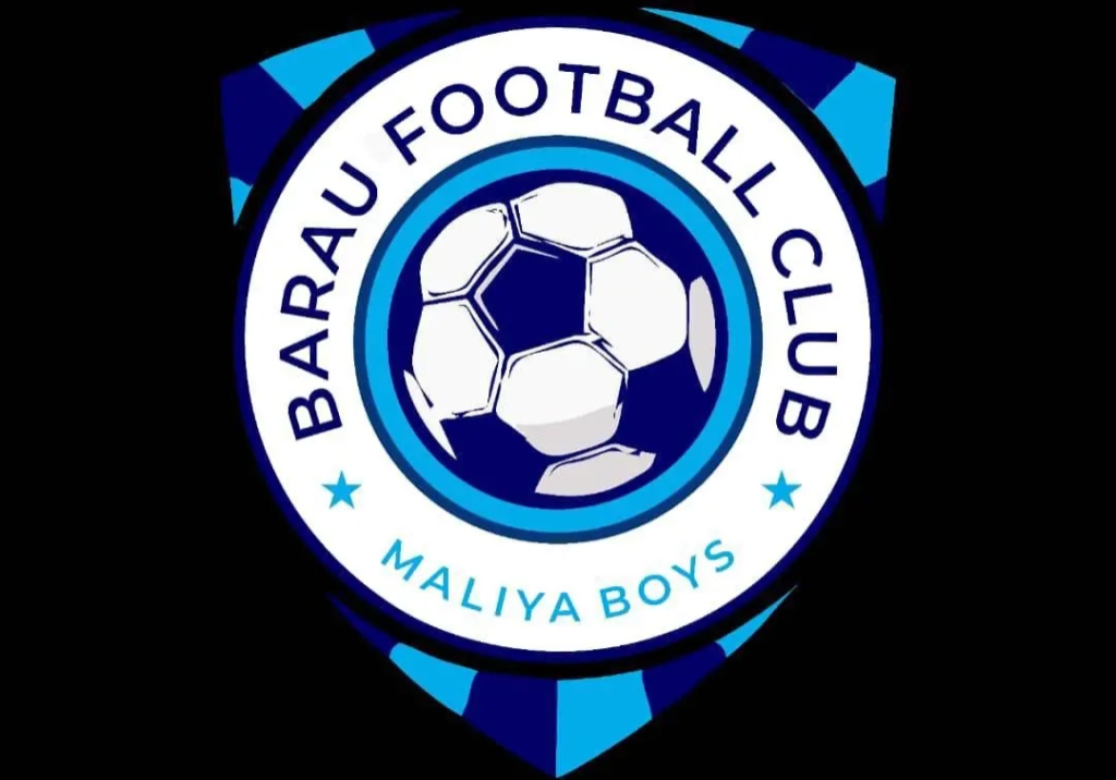 NPFL: Barau FC sign Ambrose, Okoko Jr