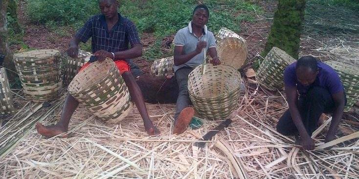 Basket weaving Students elders compete make brisk business in Enugu Basket weaving Students elders compete make brisk business in Enugu