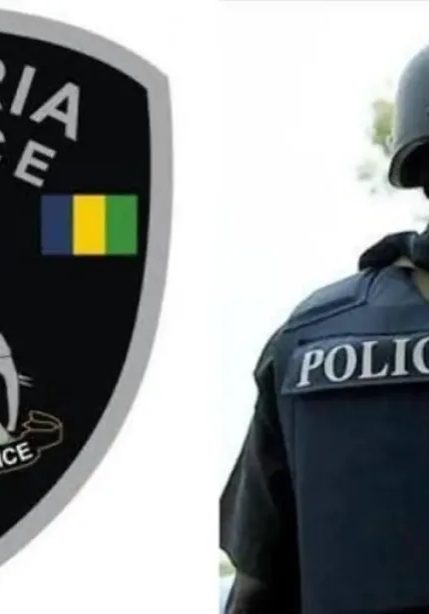 Benue: State police tops discussion as insecurity ravages Nigeria