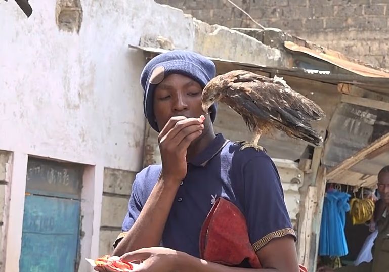 Kenya: the man rescuing wild birds, even without a roof over his head