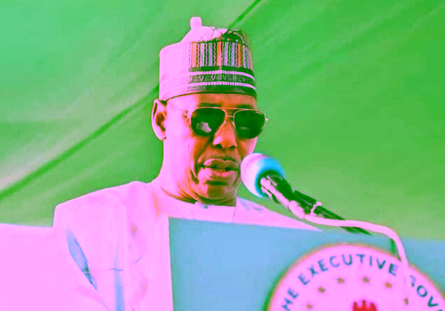 Borno Governor Signs Executive Orders to Combat Environmental Degradation and Gov. Zulum bans tree felling, declares sanitation day — Daily Nigerian