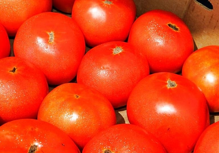 Burkina Faso’s tomato export ban raises concerns over regional supply