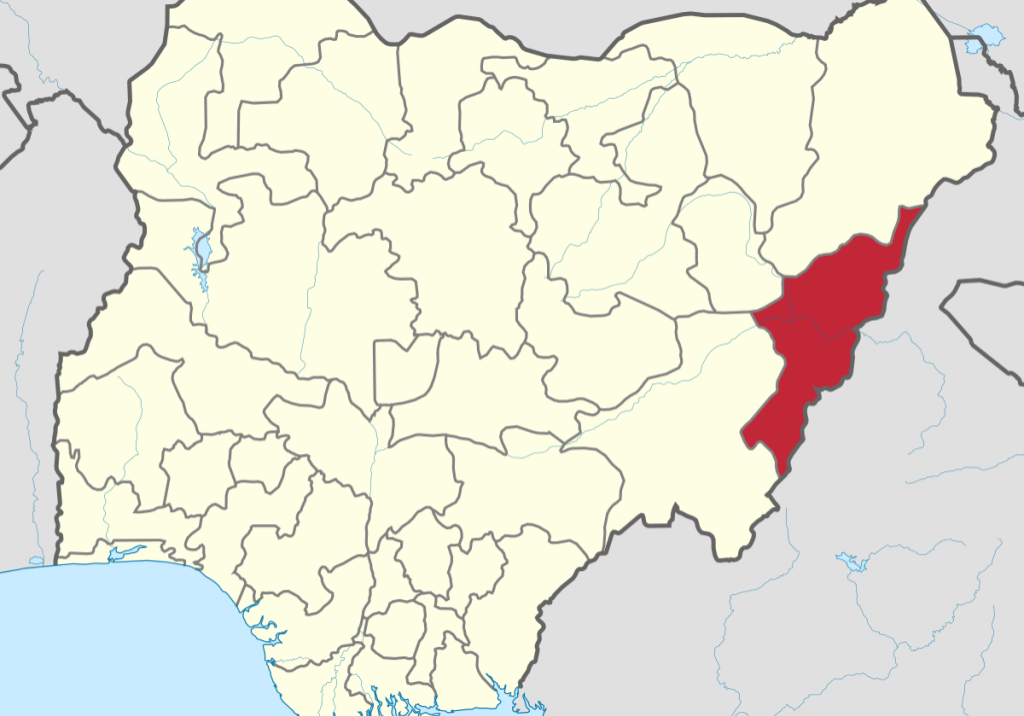 Nigeria probes strange flesh-eating disease in Adamawa — Daily Nigerian
