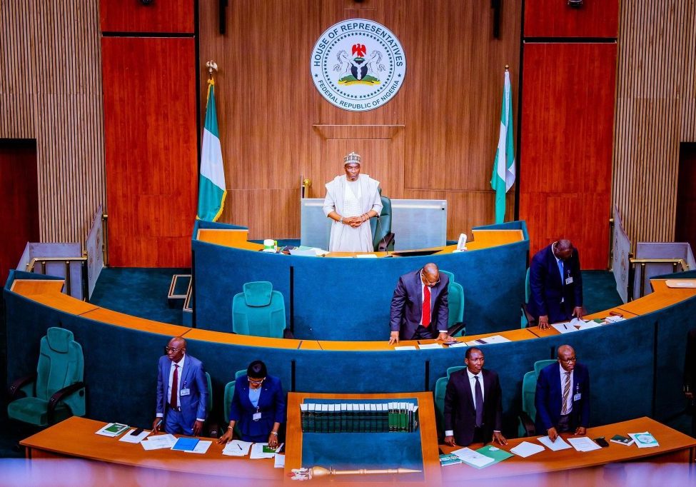 Reps tells Nigerian govt to cancel COVID-19 survival loans