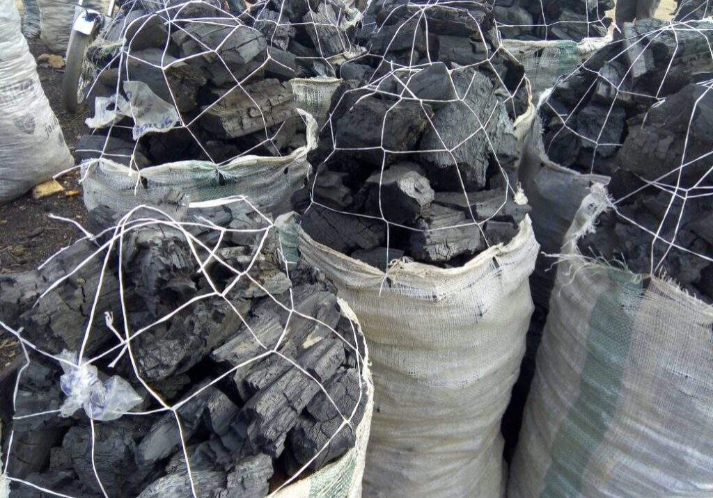 Charcoal Price Soars in Kano, Becomes Unaffordable for Many Residents Charcoal Price Soars in Kano, Becomes Unaffordable for Many Residents