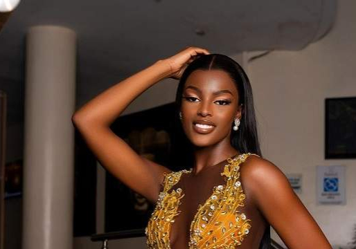 Chidinma Adetshina Crowned Miss Universe Nigeria 2024 Chidinma Adetshina Crowned Miss Universe Nigeria 2024