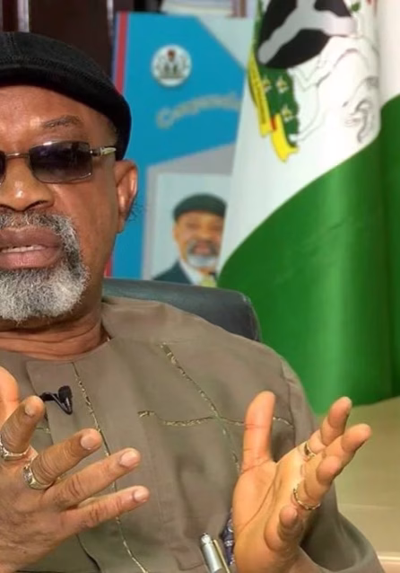 Christian Chukwu brought fame, honour, respect to Nigeria - Ngige