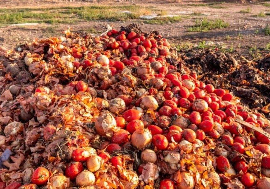 Christmas Despite hardship food waste at festive period alarming in