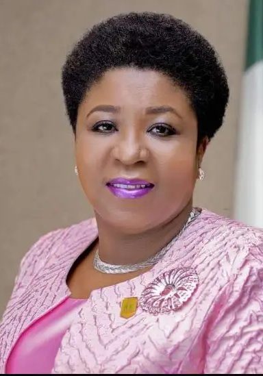 Civil Servants Unite Driving Nigerias Progress with Excellence