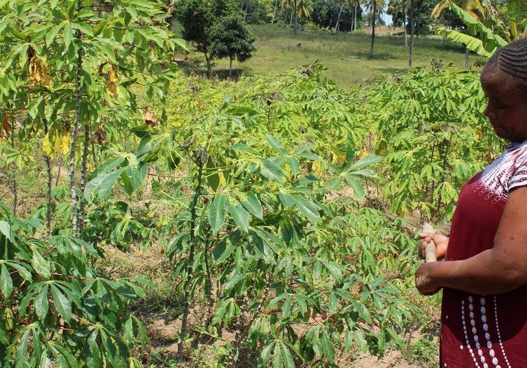 Kenya project looks at impact of climate change on women's mental health