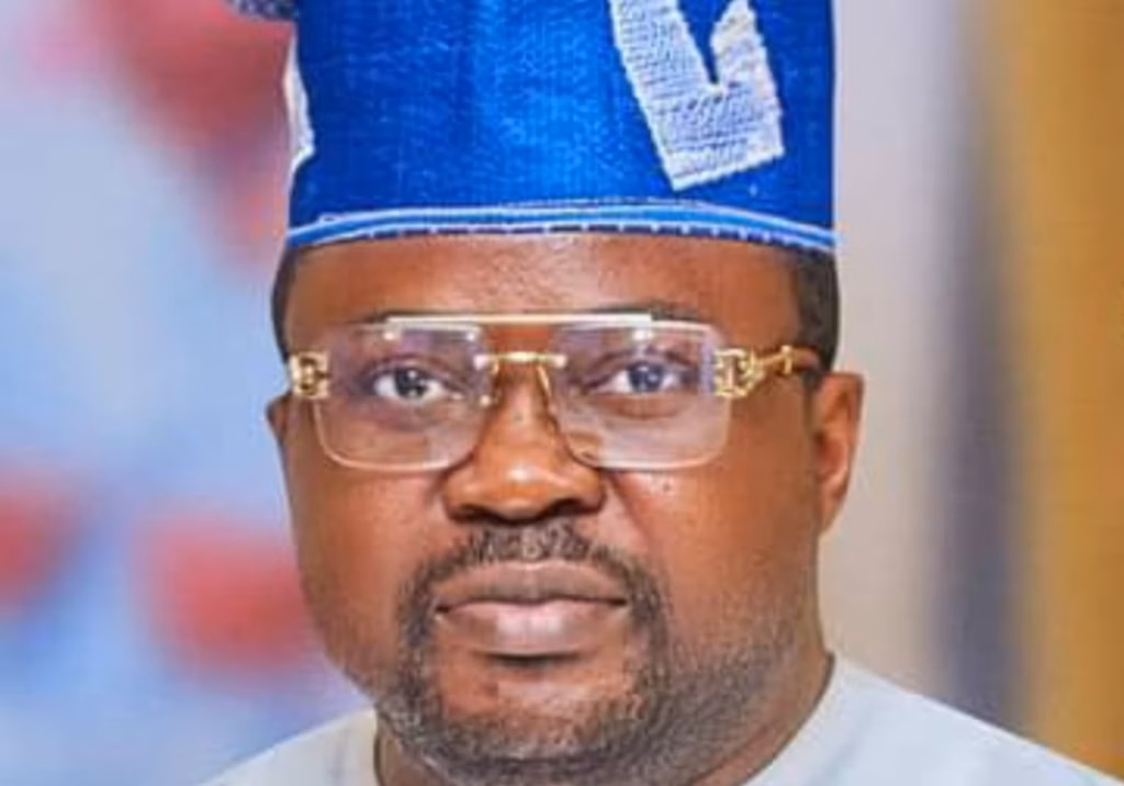 Coercing Nigerians to vote during elections unconstitutional - NNPP chieftain Coercing Nigerians to vote during elections unconstitutional - NNPP chieftain