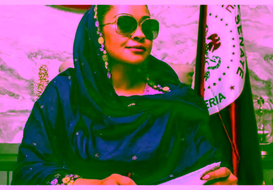 Court berates Natasha for wrong use of social media in a suit by Ali Bello