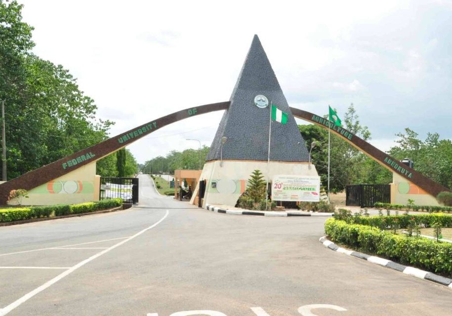 Dangerous using Nigeria as field laboratory for unprofitable ventures - Dangerous using Nigeria as field laboratory for unprofitable ventures - University Don