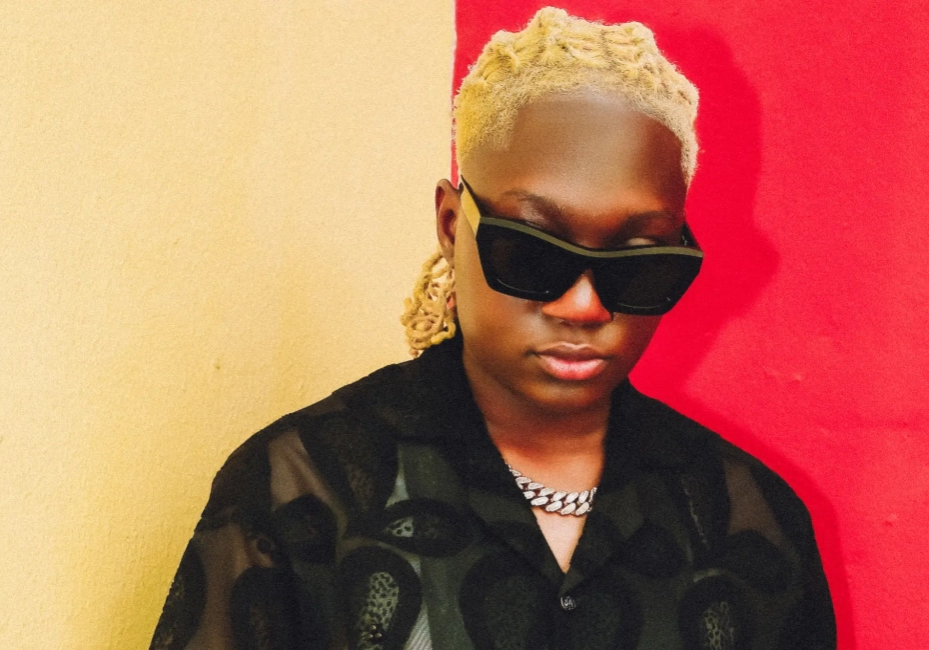 ‘I'm ready to have kids, but don't want to carry babies with my womb’ - Darkoo