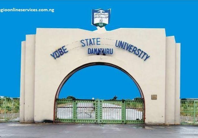 Dementia research collects 1100 biopsies in Nigeria study Yobe varsity begins dementia research, collects 1,100 blood, biopsy samples — Daily Nigerian