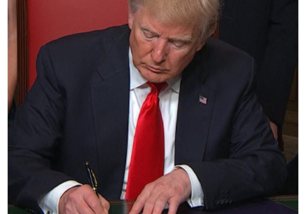 'Denial of citizenship will cause irreparable harm' - US judge blocks Trump's order on birthright