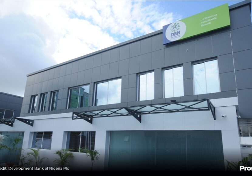 Development Bank of Nigeria disburses N1trn to MSMEs, creates 1.2m jobs – MD — Daily Nigerian