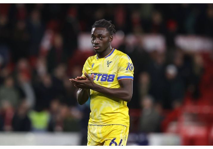 EPL: My dad is Nigerian - Crystal Palace winger, Agbinone on playing for Super Eagles