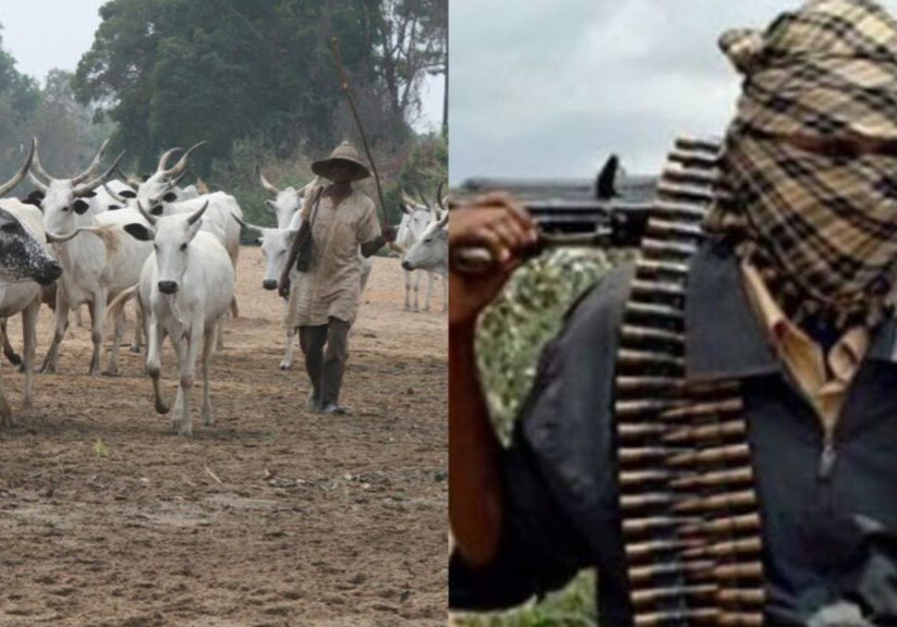Ebonyi massacre: 'It’s time for govt decisive action against herdsmen banditry' - RULAAC