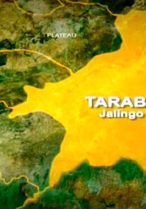 Eight trafficked children reunited with parents in Taraba