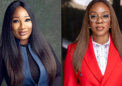 Meet Newly Appointed Female CEOs Of Eko DisCo, MultiChoice Nigeria • Channels Television