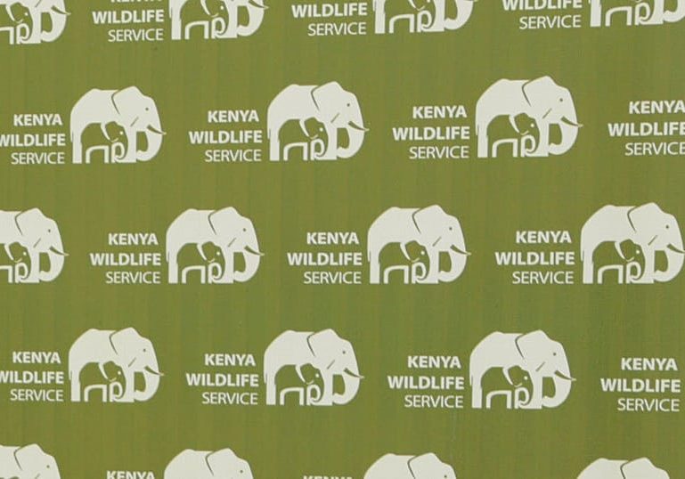 Kenyans protest after roaming elephants kill 4 people in a week