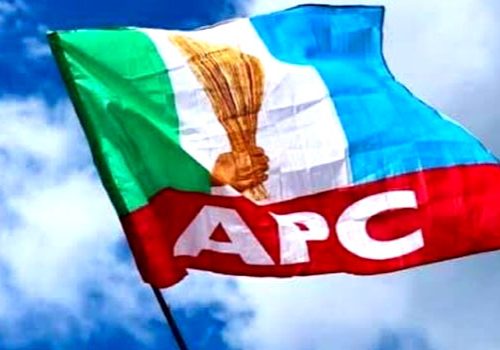 Ex-APC North-West Youth Leader Abubakar Sa'adu Fakai Resigns From Party • Channels Television