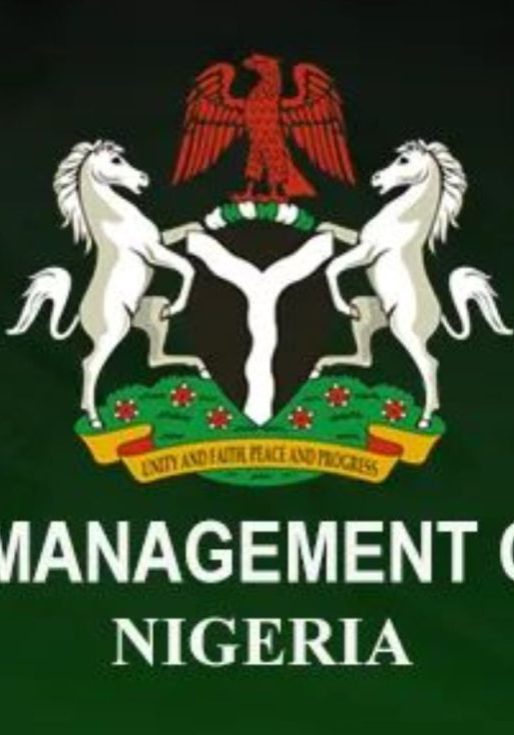 FGN Green Bond records N91.42bn subscription - DMO