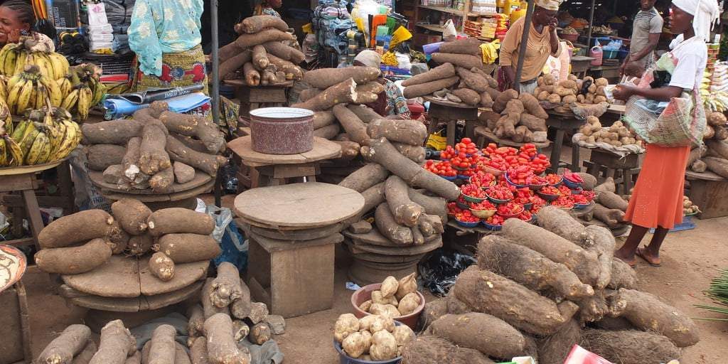 Food inflation rises to 3284 in Nigeria NBS