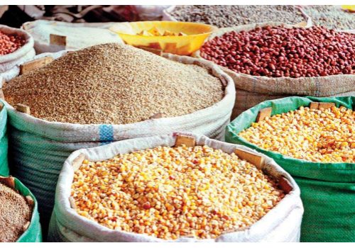 FG's Scheme Led To 2.5 Metric Tonnes Of Produce In Four Seasons – FG • Channels Television