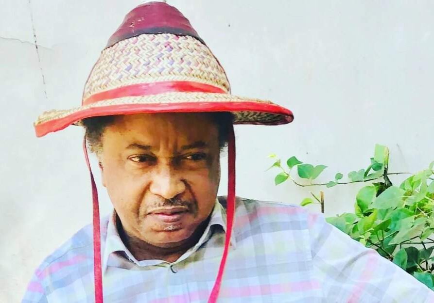 Former Nigerian Senator Shehu Sani Applauds Senegals New President for Former Nigerian Senator Shehu Sani Applauds Senegals New President for