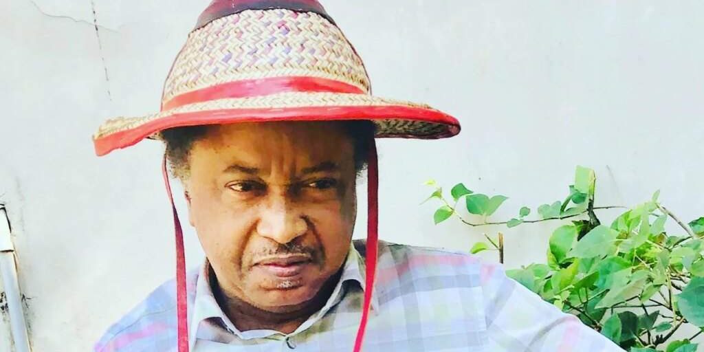 Former Nigerian Senator Shehu Sani Applauds Senegals New President for Former Nigerian Senator Shehu Sani Applauds Senegals New President for