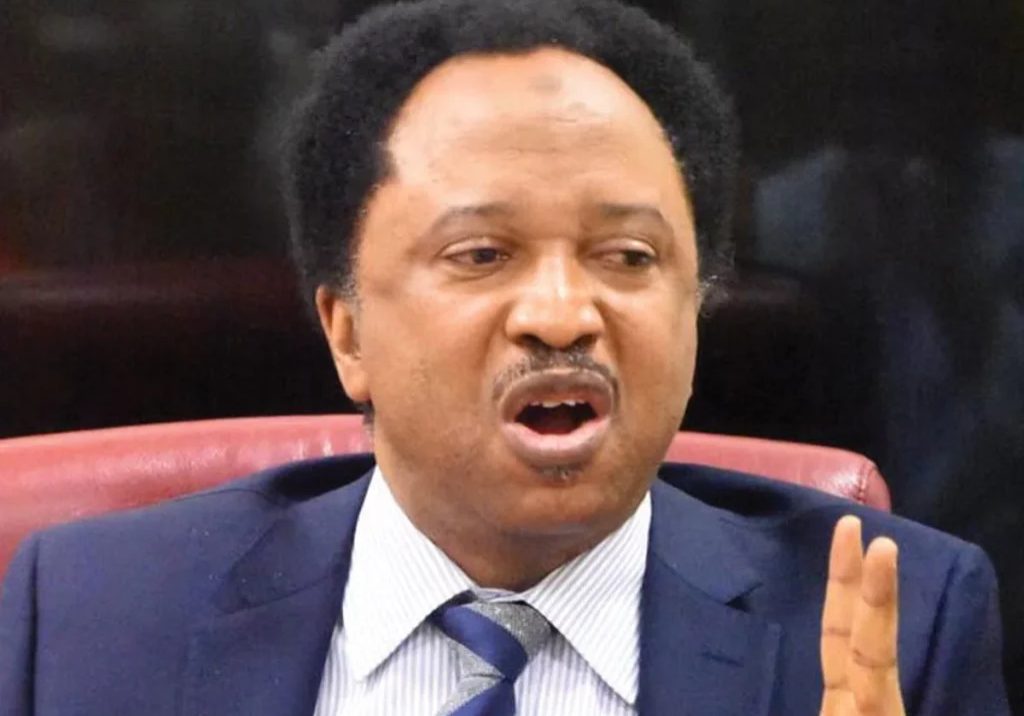 ‘He was butchered’ - Shehu Sani laments killing of Kano DPO by protesters