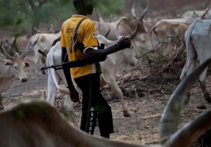 Herdsmen kill four children in Plateau community in reprisal attack over alleged rustling of their cows
