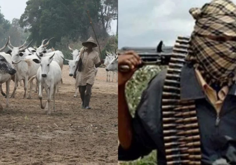 Tension in Delta community as herdsmen kill farmer on his land