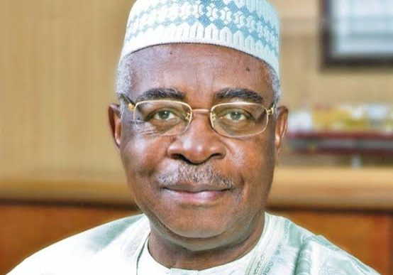 Gen Theophilus Danjuma Urges Nigerians to Embrace Peace for Progress