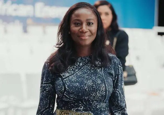 GenCos debt: N4tn bond programme receives Tinubu's anticipatory approval - Verheijen