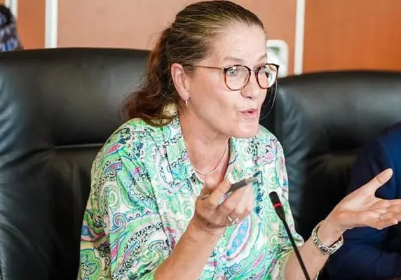 German ambassador to Nigeria German ambassador to Nigeria