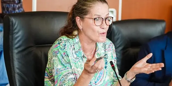 German ambassador to Nigeria German ambassador to Nigeria