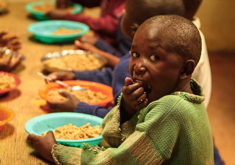 Global Food Security Report: Hunger and Obesity on the Rise, Global Food Security Report: Hunger and Obesity on the Rise,