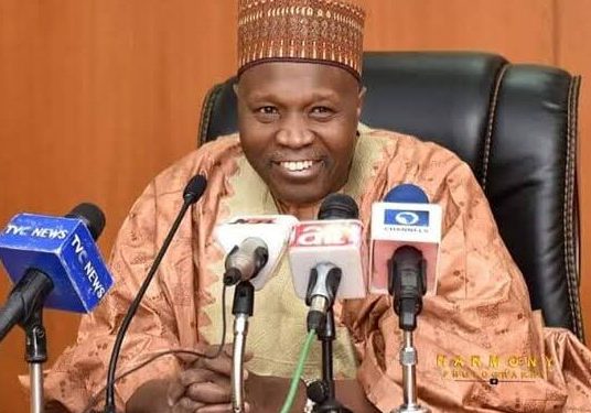 Gombe governor backs Tinubu for 2027 re-election — Daily Nigerian
