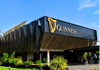 Guinness Nigeria launches new 440ml Can for stout lovers Guinness beer office. Photo: Arise