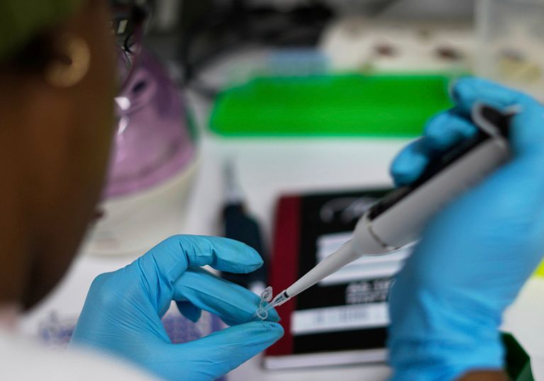 Trump Administration's funding cuts jeopardize HIV research in South Africa