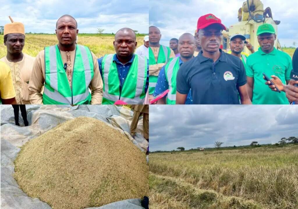 Hausa Community Denies Ownership of 200 Hectare Rice Farm in Ogun Hausa Community Denies Ownership of 200 Hectare Rice Farm in Ogun