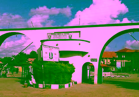 'Patients buying fuel before undergoing operations',  FMC Keffi denies claim — Daily Nigerian