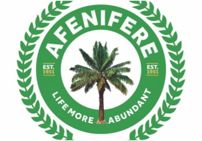 ISWAP: Afenifere hails South-West govs' move to set up security ISWAP: Afenifere hails South-West govs' move to set up security surveillance team