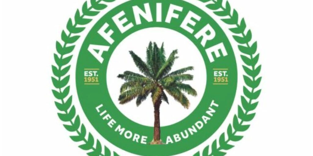 ISWAP: Afenifere hails South-West govs' move to set up security ISWAP: Afenifere hails South-West govs' move to set up security surveillance team