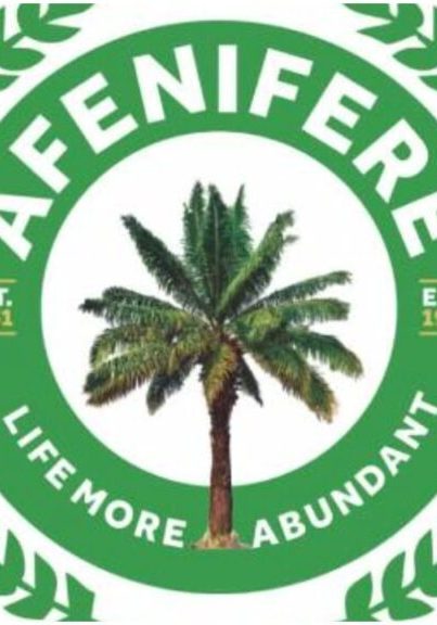 ISWAP: Afenifere hails South-West govs' move to set up security surveillance team