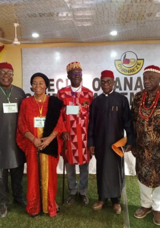 Imo should produce President-General for 27 days before election — Ohanaeze
